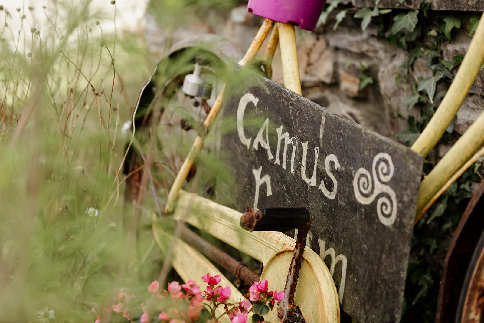 Festival wedding Ireland, West Cork, Camus Farm, Sarah Kate photography, Alternative wedding venue