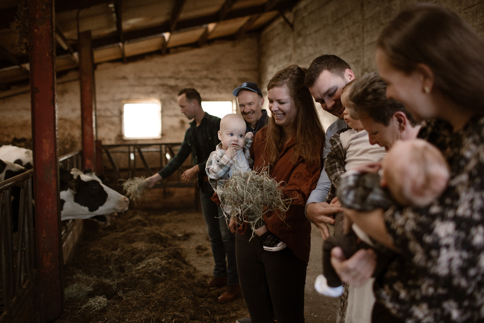 familie fotoshoot, een afscheid van hun familiebedrijf, tussen de koeien. Zuid-Limburg, Nederland